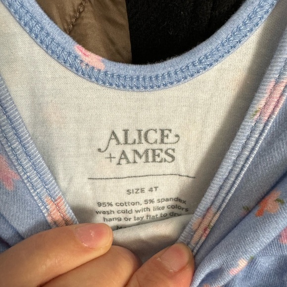 Alice + Ames The Ballet Dress 4t - Picture 3 of 3